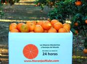 pueden comprar mejores naranjas mandarinas