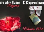 Bloguero invisible edición 2014