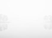 estación árboles Otoño 2014