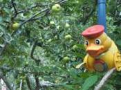 Pájaros espantapájaros