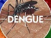 Descubren Anticuerpo Neutraliza Dengue