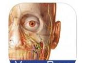 mejores apps fisioterapia