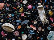 arte desechos marinos