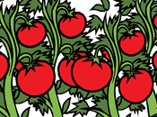 Trucos naturales para resaca tomate