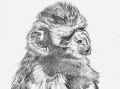 ¿Son justos animales?