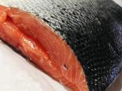Salmon Marinado