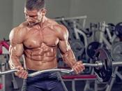 Papel Testosterona Desarrollo muscular