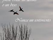 Ausentes. Fotografía sentimiento.