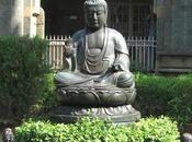 Meditación para agradecidos