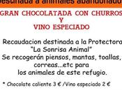 sonrisa animal” organiza chocolatada Pinto, Enero