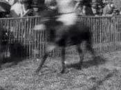 Cinecritica: Course d'ânes: course