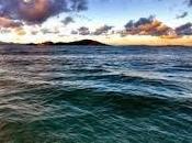 acidificación, peligrosa osteoporosis oceánica