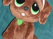 "Choco" perrito especial