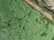 realidad mito cropcircles