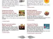 Asociación Elisabeth d’Ornano para TDAH