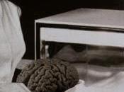 efecto Frey ¿control mental?