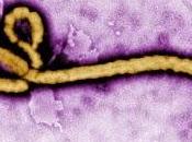 cree vacuna ébola puede estar lista 2015