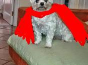 Semana Crea aprende Laura 2015