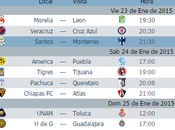 Calendario juegos jornada futbol mexicano clausura 2015 liga