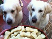 Galletas perrunas comida para perros