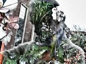 Photo Month (PoM) Enero 2015