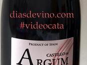 Castillo Argum Cencibel 2013