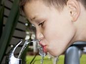 Dispensadores agua podrían animar niños beber