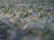 Invierno