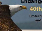 Vida silvestre Estados Unidos