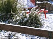 primeras nieves 2015