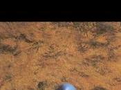 Reseña, muerte vicaría