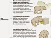 Protocolo Actuación para Humanos Problemáticos