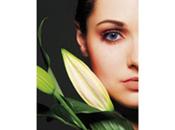 lenguaje flores" Vanessa Diffenbaugh