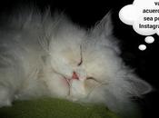 Estamos Agustito LXXIX... Fans...