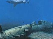 Buceo extremo entre pecios
