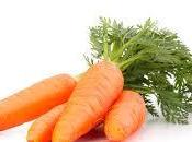 Zanahoria: Antioxidante, antiinflamatioria potenciadora #salud