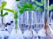 inútil biotecnología