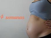 embarazo: semana