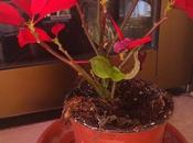 Planta abandonada