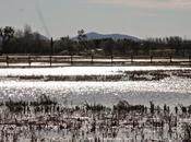 domingo cualquiera Aiguamolls d'Empordà