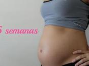 embarazo: semana