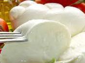 Mozzarella búfala, queso fresco rico proteínas correcta calorías