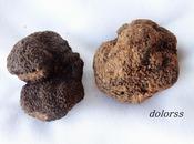 Cómo limpiar conservar trufas (tuber melanosporum)