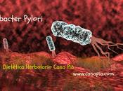 Helicobacter Pylori