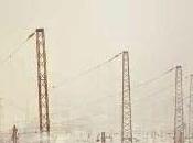 verde estepas Brigitte Reimann