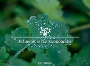 Esturirafi Sueñopedia