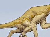 Deinocheirus mirificus, Arms Race Finalist