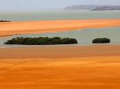 Guajira