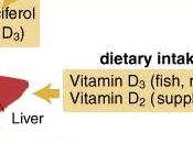 cosas sobre vitamina