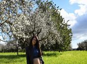 Surrounded almond blossoms